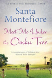 Meet Me Under the Ombu Tree - Santa Montefiore (2014)