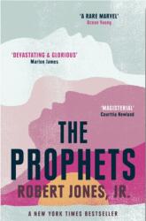 The Prophets (ISBN: 9781529405712)