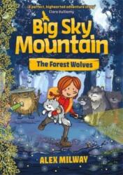 Big Sky Mountain: The Forest Wolves (ISBN: 9781848129733)
