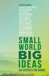 Small World, Big Ideas (ISBN: 9780711275379)