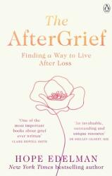 The AfterGrief (ISBN: 9781405948975)