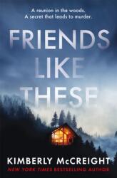 Friends Like These (ISBN: 9781472292988)