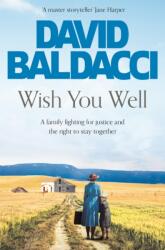 Wish You Well (ISBN: 9781529043334)