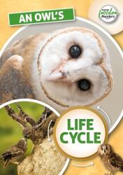 An Owl's Life Cycle (ISBN: 9781801551342)