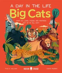 Big Cats (ISBN: 9781838991548)