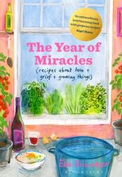 The Year of Miracles (ISBN: 9781526622631)