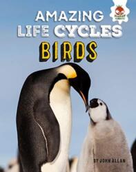 Birds - Amazing Life Cycles (ISBN: 9781912108367)