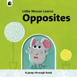 Opposites (ISBN: 9780711268494)