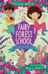 Fairy Forest School: Baby Bunny Magic (ISBN: 9781408366707)
