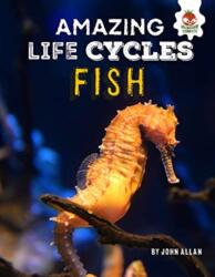 Fish - Amazing Life Cycles (ISBN: 9781913077037)