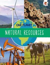 Natural Resources (ISBN: 9781914087950)