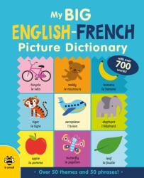 My Big English-French Picture Dictionary (ISBN: 9781913918309)