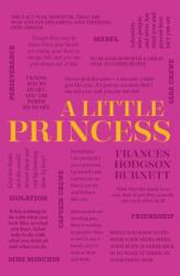A Little Princess (ISBN: 9781645179047)