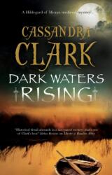 Dark Waters Rising (ISBN: 9781448306657)