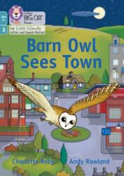 Barn Owl Sees Town (ISBN: 9780008551759)