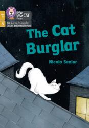 The Cat Burglar (ISBN: 9780008551940)