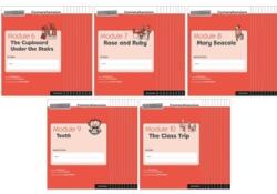 Read Write Inc. Comprehension: Modules 6-10 Class Pack of 50 (ISBN: 9780198433859)