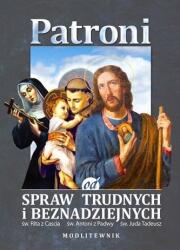 Patroni od spraw trudnych i beznadziejnych (ISBN: 9788374016551)