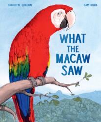 What the Macaw Saw (ISBN: 9781913519735)