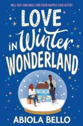 Love in Winter Wonderland (ISBN: 9781398516878)