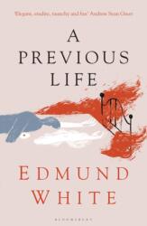 A Previous Life (ISBN: 9781526632258)