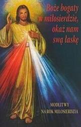 Boże bogaty w miłosierdzie, okaż nam swą łaskę (ISBN: 9788374543781)
