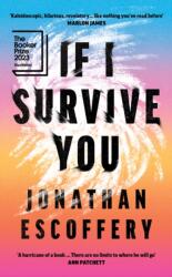 If I Survive You (ISBN: 9780008501211)