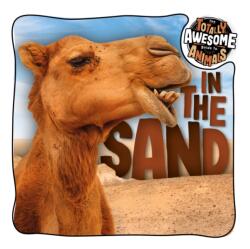 In the Sand (ISBN: 9781801556507)