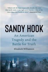 Sandy Hook (ISBN: 9781524746582)