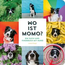 Wo ist Momo? (ISBN: 9783737359313)