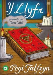 Cyfres Amdani: Y Llyfr (ISBN: 9781801063005)