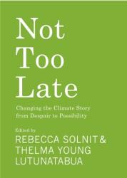 Not Too Late (ISBN: 9781642598971)