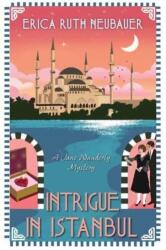 Intrigue in Istanbul (ISBN: 9781496741158)