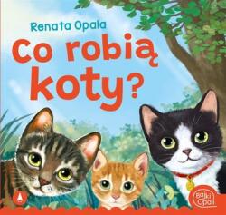 Ce fac pisicile? (ISBN: 9788382074901)