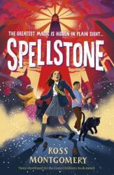 Spellstone (ISBN: 9781529501933)