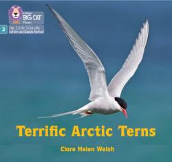 Terrific Arctic Terns (ISBN: 9780008540746)