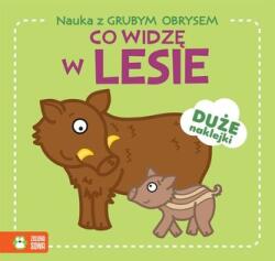 Învățare cu contur gros. Ce văd în pădure (ISBN: 9788382409673)