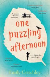 One Puzzling Afternoon (ISBN: 9781804181256)
