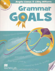 Grammar Goals 5. Pupil's Book Grammar Workout CD-ROM (ISBN: 9780230445970)