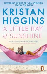 A Little Ray of Sunshine (ISBN: 9781804993071)