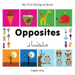 My First Bilingual Book - Opposites (ISBN: 9781840597462)