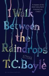 I Walk Between the Raindrops (ISBN: 9781526631343)