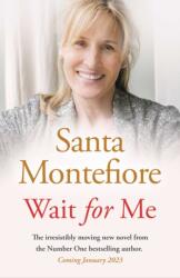 Wait for Me (ISBN: 9781398513969)