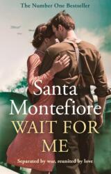 Wait for Me (ISBN: 9781398513952)