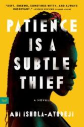 Patience Is a Subtle Thief (ISBN: 9780063116924)