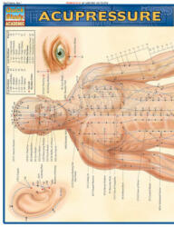 Acupressure Laminate Reference Chart (ISBN: 9781572228399)