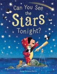 Can You See the Stars Tonight? (ISBN: 9781788452908)