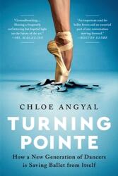 Turning Pointe (ISBN: 9781645036715)