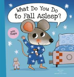 What Do You Do to Fall Asleep? (ISBN: 9781605378466)