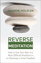 Reverse Meditation (ISBN: 9781649631053)